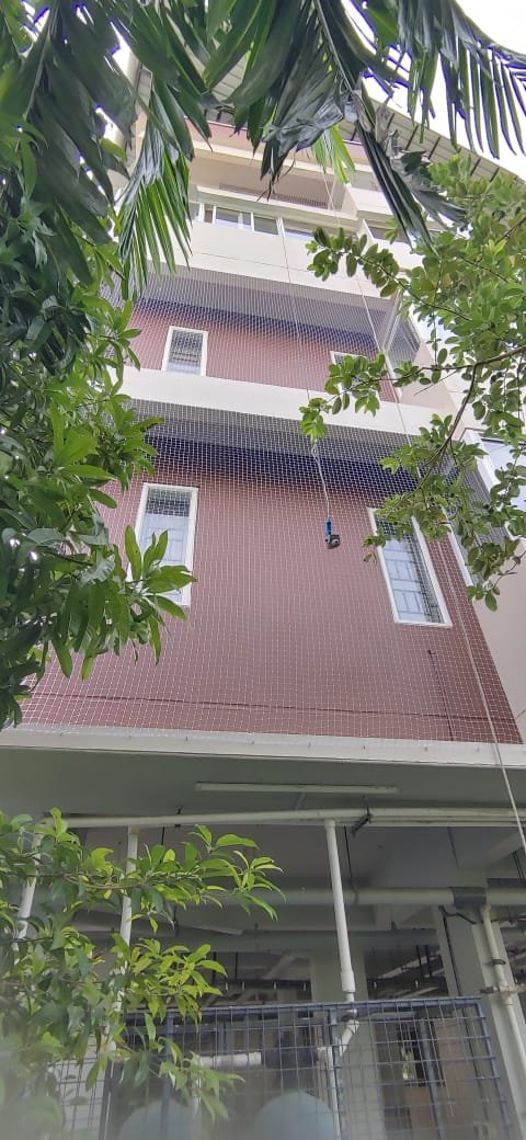 Full Building cover Bird Net Work